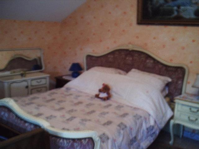 Bed and Breakfast Chez Josephine Metting Номер фото